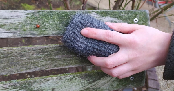 Steel wool, a multi-tool in the garden
